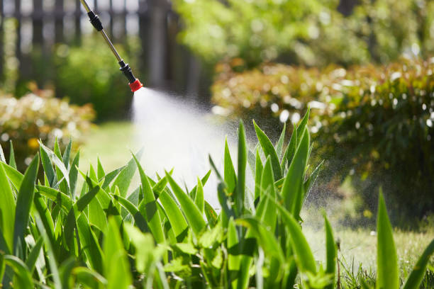 Void Injection for Cockroach Colonies in Medford Lakes