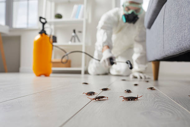 Commercial Kitchen Cockroach Control in Medford Lakes